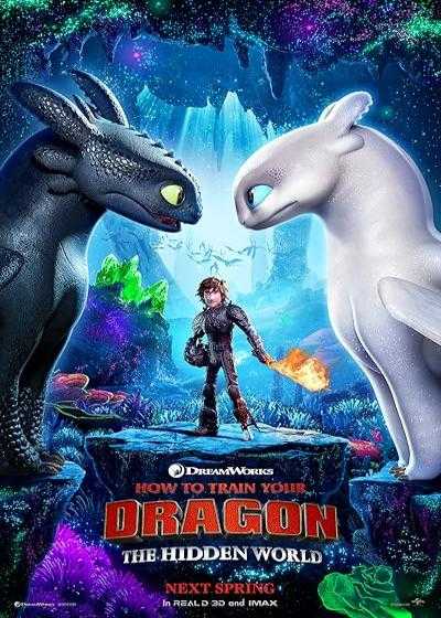 تصویر انیمیشن مربی اژدها ۳: جهان پنهان How to Train Your Dragon 3: The Hidden World 2019